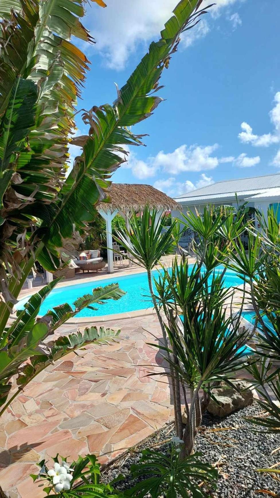 Tiko Lodge Sxm Quarter of Orleans Eksteriør bilde
